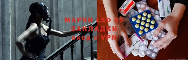 ПСИЛОЦИБИНОВЫЕ ГРИБЫ Арсеньев