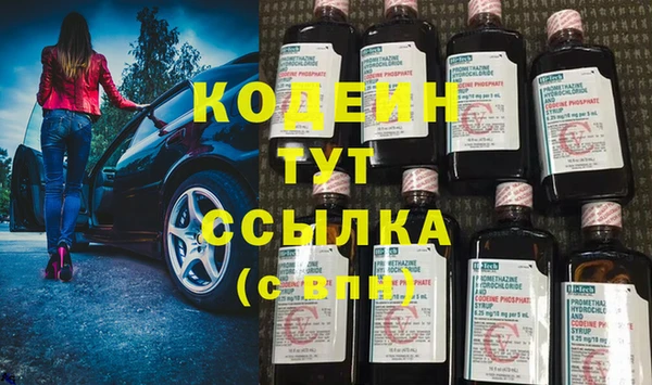 ПСИЛОЦИБИНОВЫЕ ГРИБЫ Арсеньев